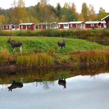 Klaraelvens Camping Stöllet Szoba fotó