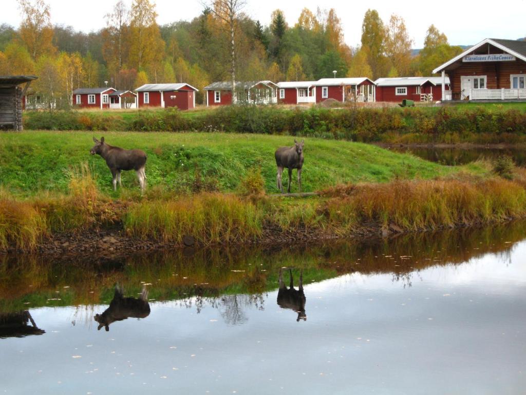 Klaraelvens Camping Stöllet Szoba fotó